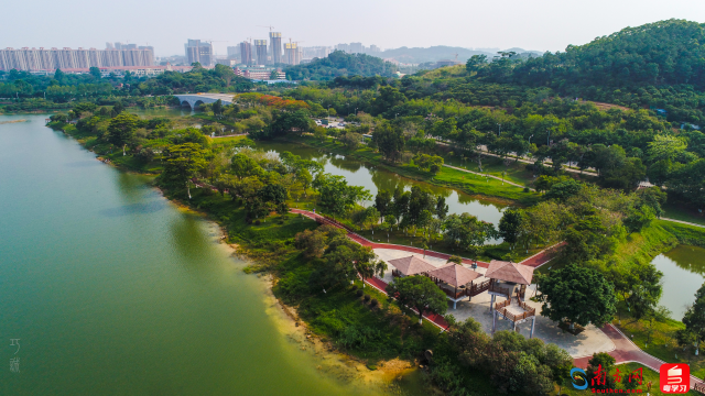 廣東珠海水松林省重要濕地（通訊員供圖）