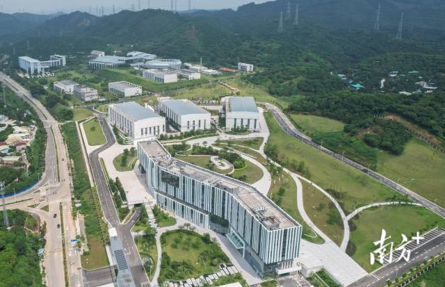 陳延偉： 升級“超級顯微鏡”，提升灣區科創吸引力 | 履職不停步