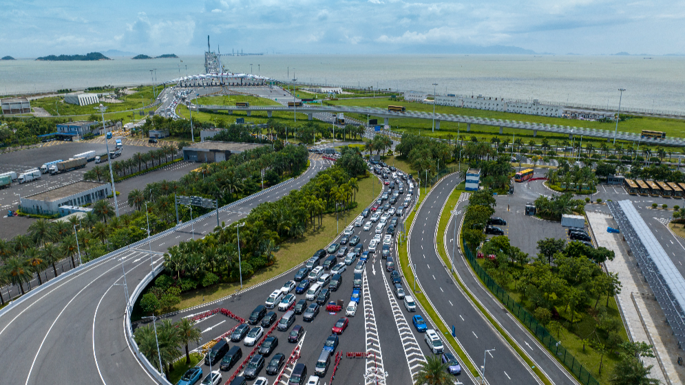 通關能力提升50%以上！2024年港珠澳大橋客流、車流創新高