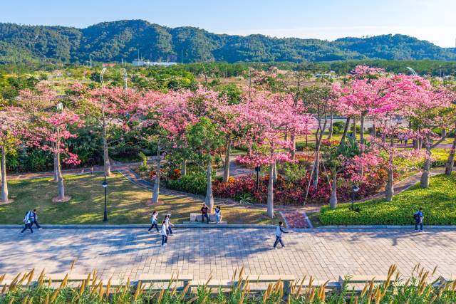 打造便利澳門居民生活就業的新家園。