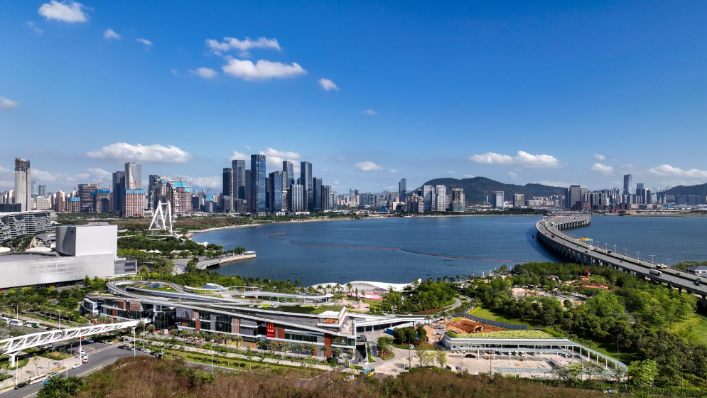 沙特政企代表團訪深圳前海，這些合作要搞大！