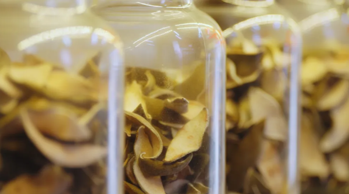 案例六：粵港澳共建中藥標(biāo)準(zhǔn)共促產(chǎn)業(yè)發(fā)展