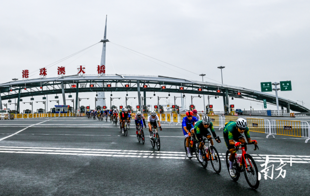 2024粵港澳公路自行車賽，選手們途經港珠澳大橋。南方+記者 錢文攀 攝