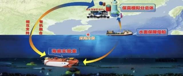 冷泉生態系統研究裝置三個分總體布局。資料圖片