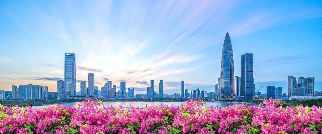深圳 深圳