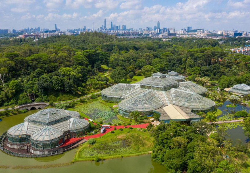華南國家植物園作為珍稀瀕危植物的“諾亞方舟”，一直致力于植物遷地保育，核心功能區規劃總面積319公頃，是我國國家植物園體系的重要組成部分。《諾亞方舟》徐吳攝　　圖片來源：靈動灣區——生物多樣性攝影展