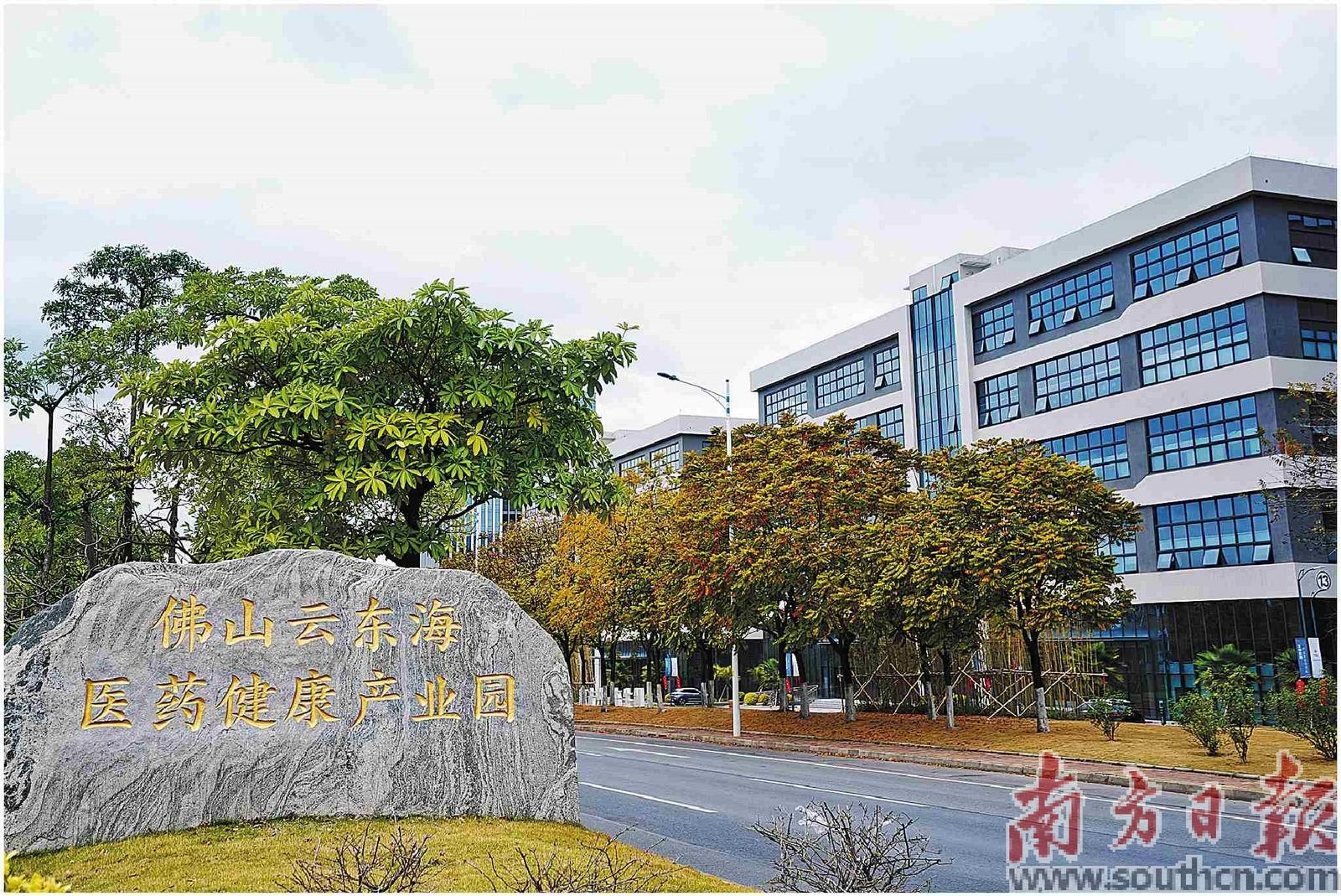 云東海醫藥健康產業園入圍全省十大生物醫藥健康產業園。戴嘉信 攝