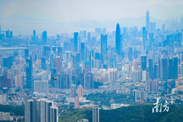 3月27日，從小梧桐電視塔腳下俯瞰深圳。