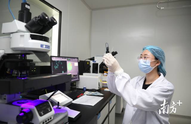 橫琴粵澳深度合作區(qū)一企業(yè)實(shí)驗(yàn)室。關(guān)銘榮 攝