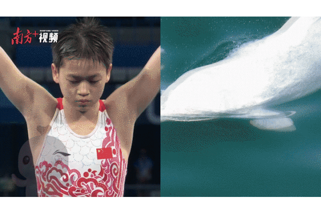 山海相連，等你來赴這場全民運(yùn)動(dòng)之約！