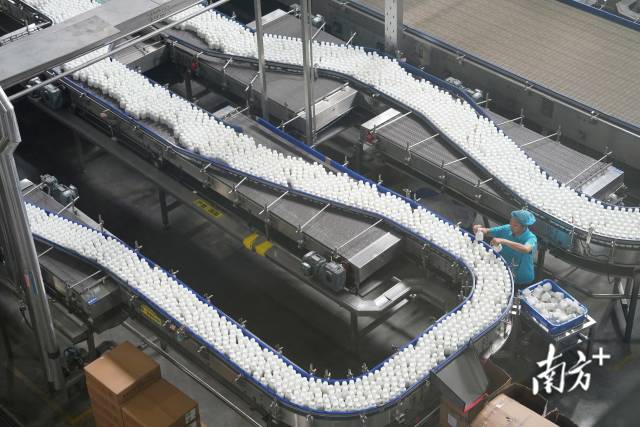 廣東椰泰飲料集團有限公司