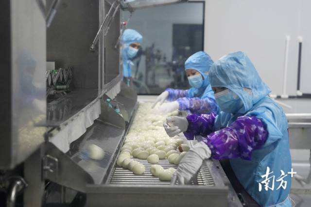 廣東省領鮮食品科技有限公司