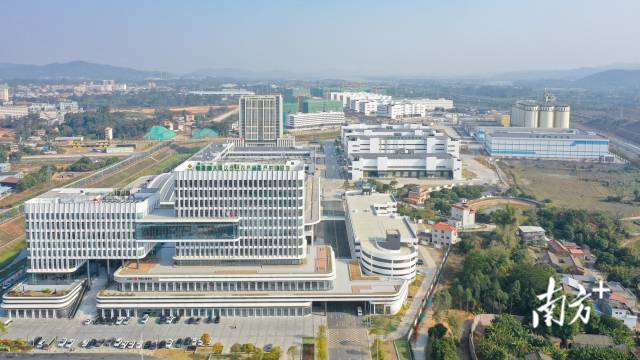 大灣區農產品基地