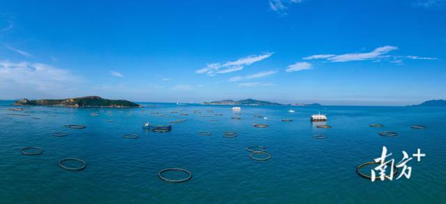 萬山群島海洋牧場。