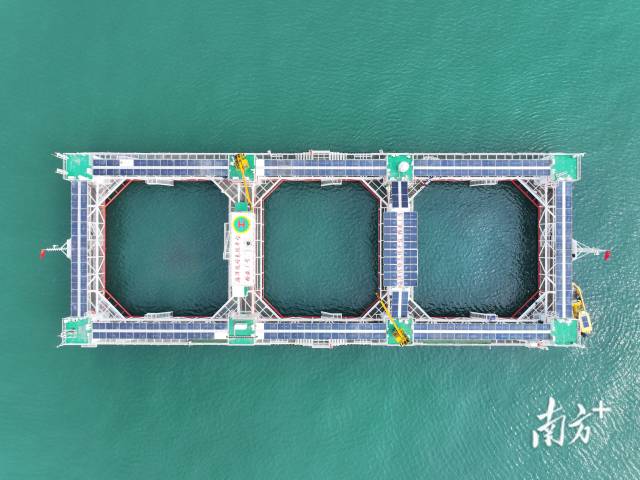 空中俯瞰“格盛一號”海洋牧場。