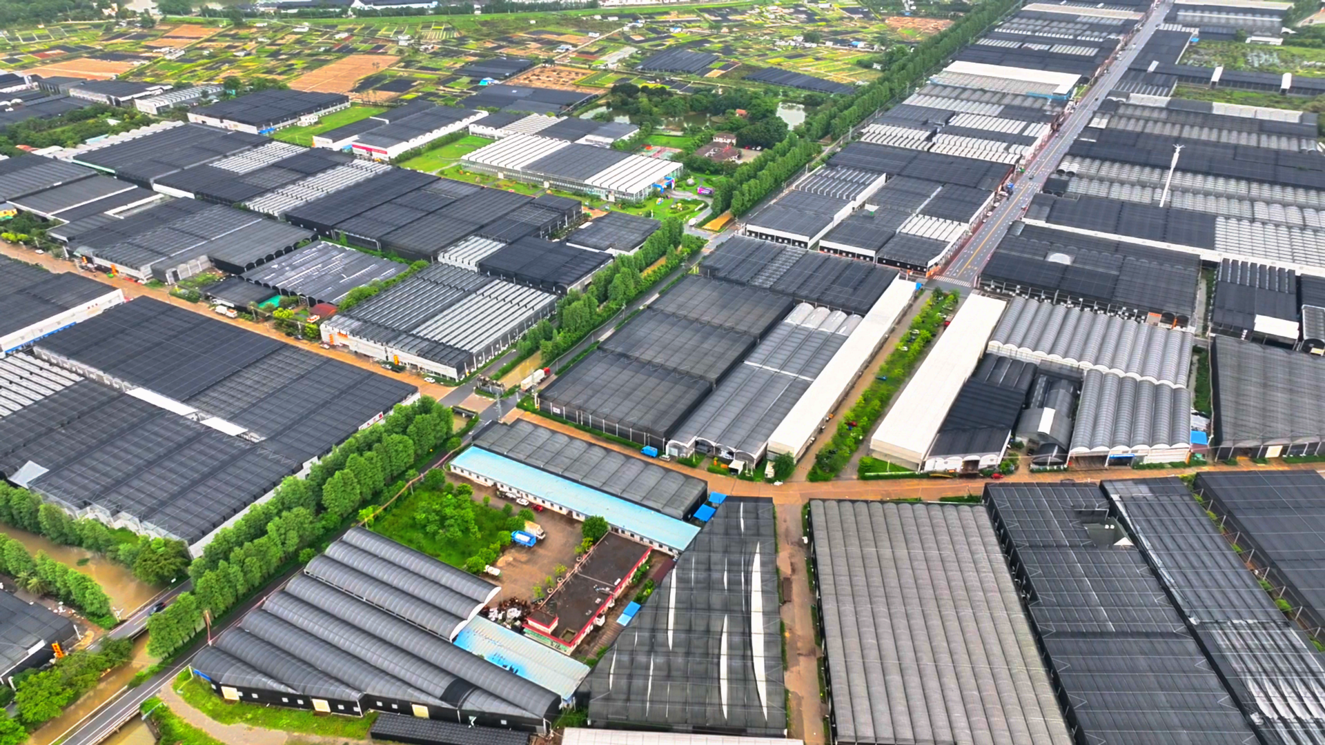 溫室大棚航拍圖