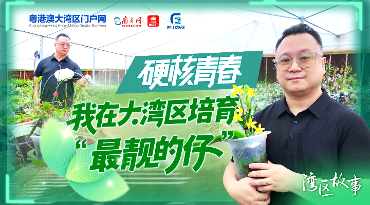 硬核青春｜我在大灣區培育“最靚的仔”