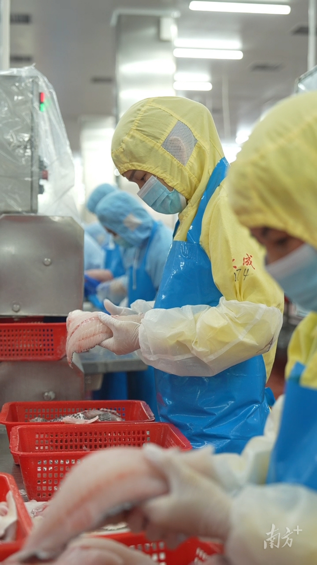  大成公司生產車間