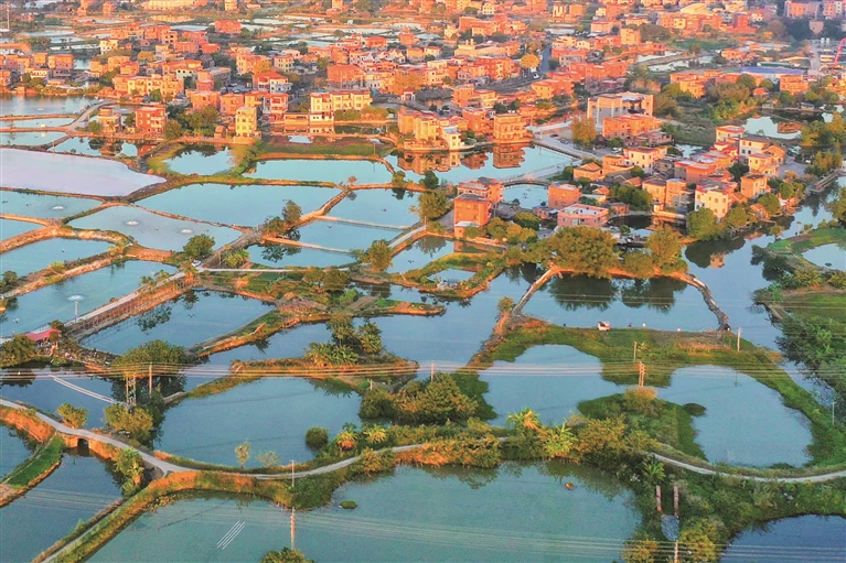 南海西樵山下的萬畝桑基魚塘。