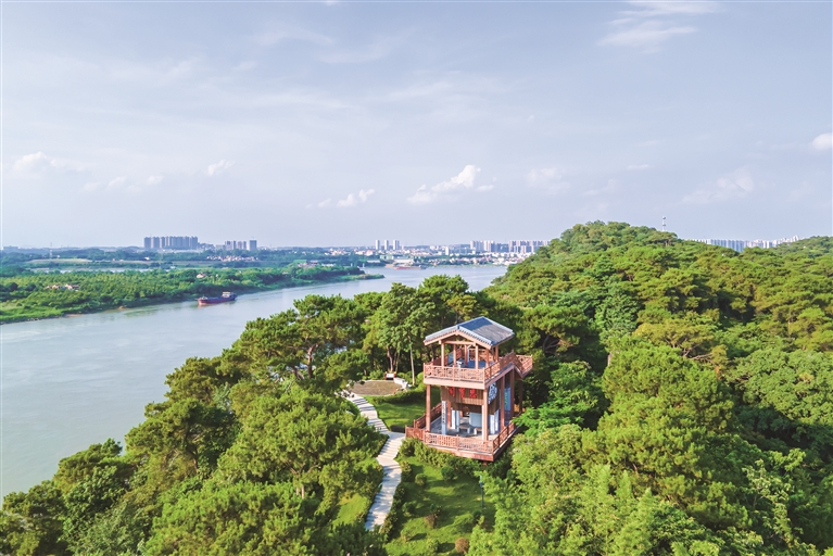 在三水江根村可飽覽“三江匯流”奇景。