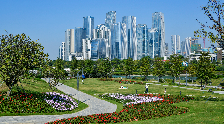 2024—2025年度中國自貿區制度創新指數出爐 前海第四次位居榜首