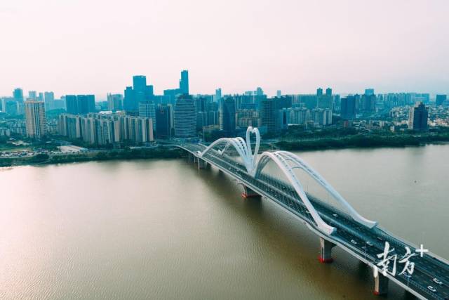 惠州鵝城大橋。