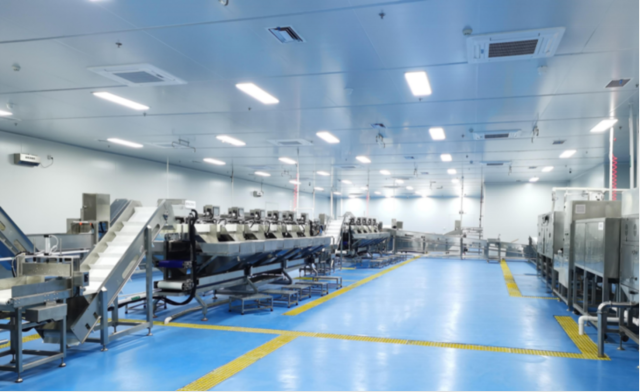 水產加工AI機器人。 受訪者供圖