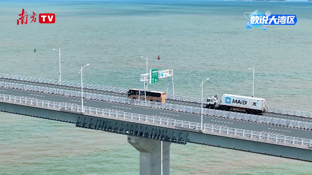 286萬輛次通關背后：大灣區人的生活半徑與身份認同雙提升