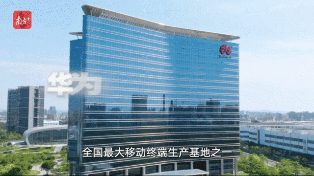    “創(chuàng)新全運會”鳴哨，11城接力新質(zhì)火炬