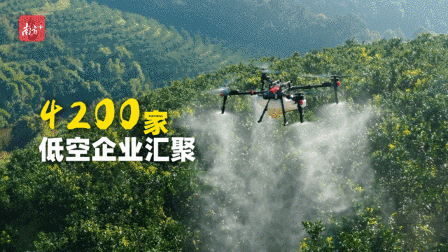    “創(chuàng)新全運會”鳴哨，11城接力新質(zhì)火炬