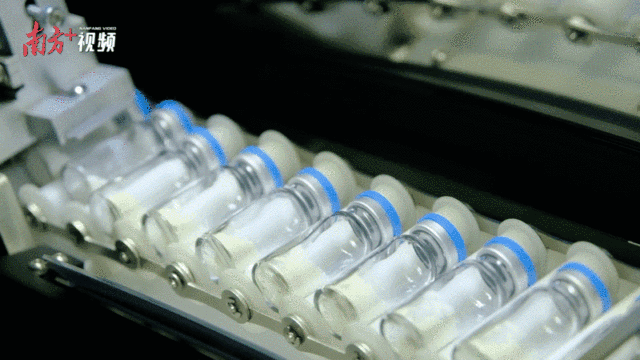    “創新全運會”鳴哨，11城接力新質火炬