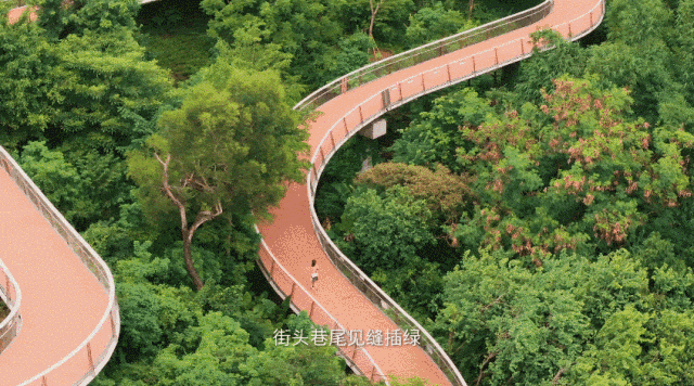 這是我的城！珠海最新城市形象片發布！