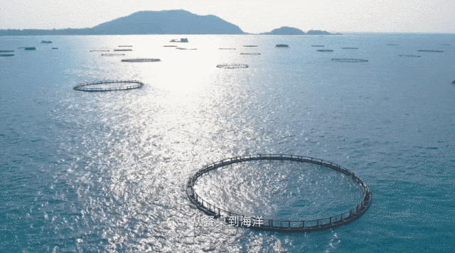 這是我的城！珠海最新城市形象片發布！