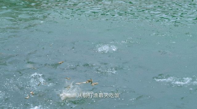 這是我的城！珠海最新城市形象片發布！