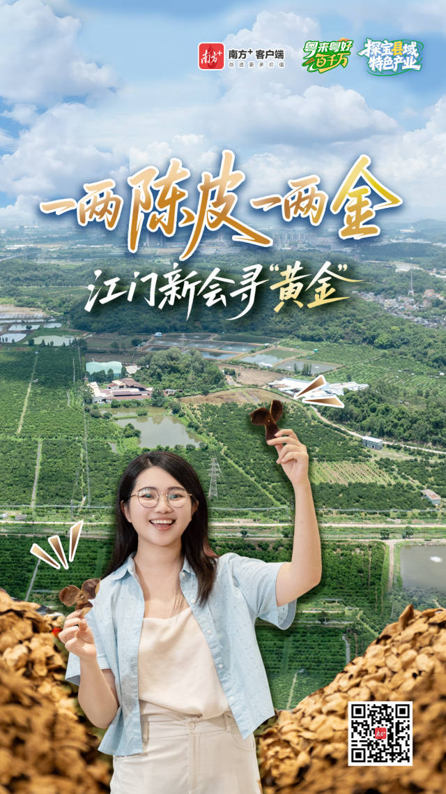 產值近280億元，江門新會陳皮為何貴如“黃金”？