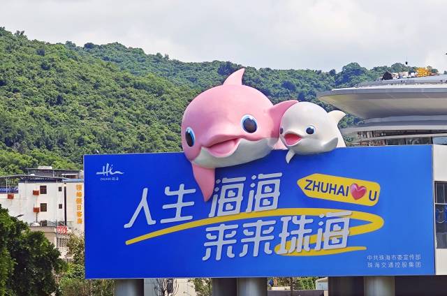 位于珠海機場的巨型中華白海豚藝術裝置。 通訊員 供圖
