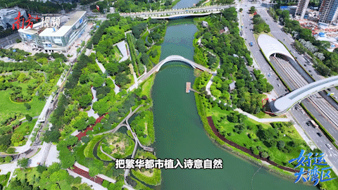 比拼“綠實力”，11城“美麗全運會”啟幕！