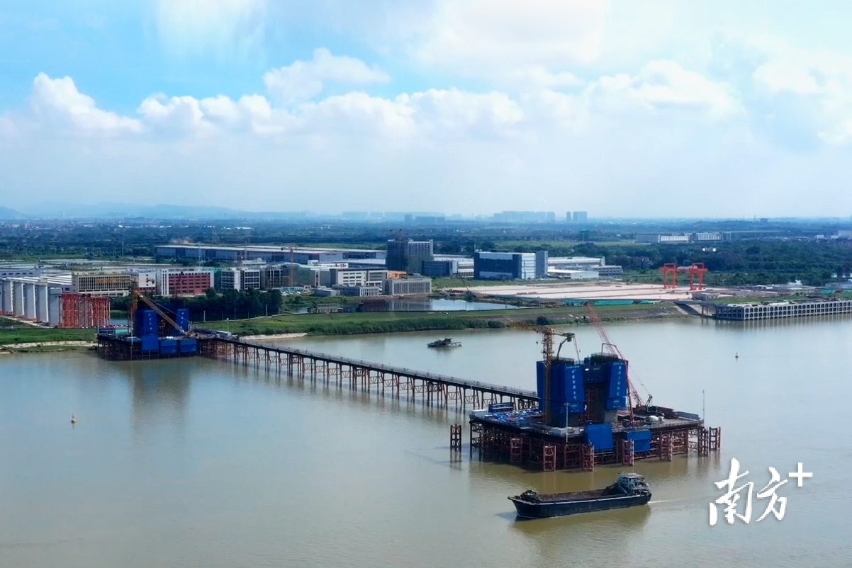 珠肇高鐵項目西江特大橋77號主塔下橫梁首層混凝土順利澆筑完成。受訪者供圖