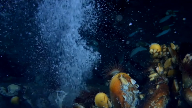 粵港澳大灣區是可燃冰開采的起源地。