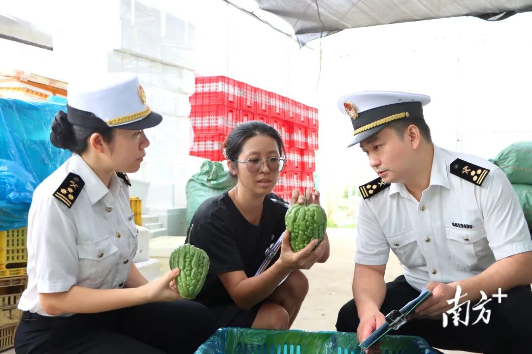 今年以來廣東外商投資企業發展態勢良好，進出口增速較整體快2個百分點。