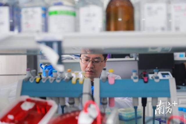 聚焦“以企引才、以才引才、平臺引才”，通過真金白銀獎勵激發社會力量參與熱情。