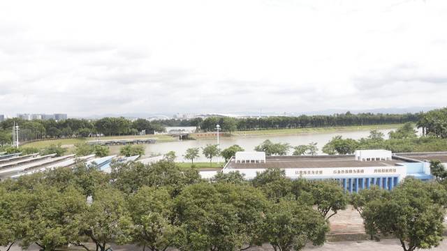 在廣州白云區的廣東國際劃船中心，皮劃艇運動員們正揮槳訓練，船槳激起陣陣水花。