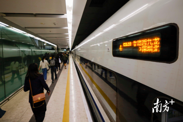 高鐵出行的便利，讓家屬可以實現(xiàn)“上午探親下午返港”，圖為廣深港高鐵。