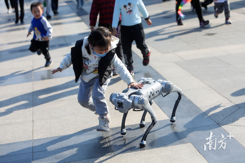 各種用途的機器狗