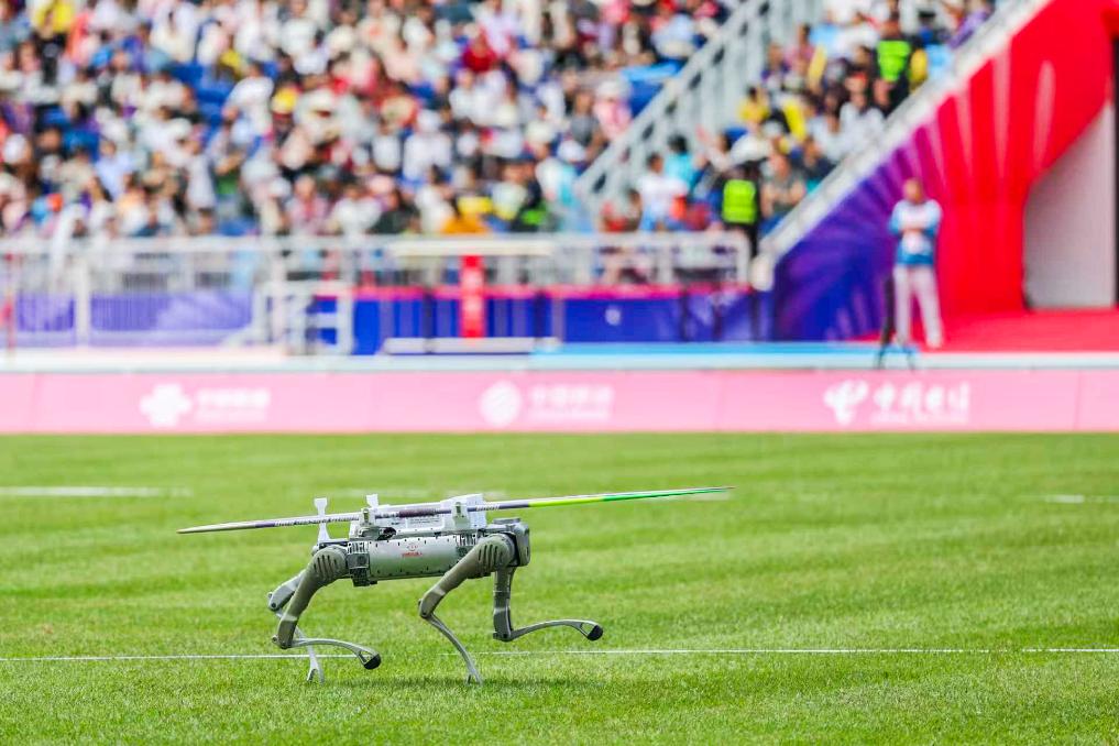 11月15日，機器狗在田徑項目女子標槍及格賽中運送標槍。