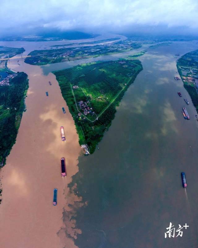 每年汛期，來自西江與北江的洪水在佛山三江匯流處交匯。資料圖片