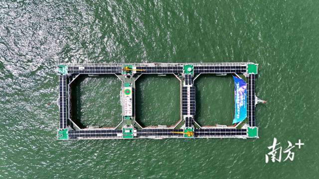 “格盛 1 號”養殖平臺。南方+記者 關銘榮 攝