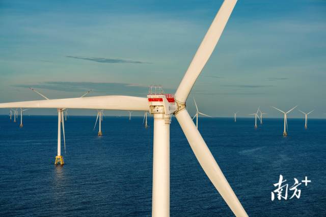 陽江海上風電。南方+記者 張令 攝
