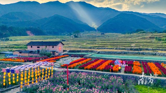連山縣美麗鄉(xiāng)村永和鎮(zhèn)石坪村鮮花盛開。