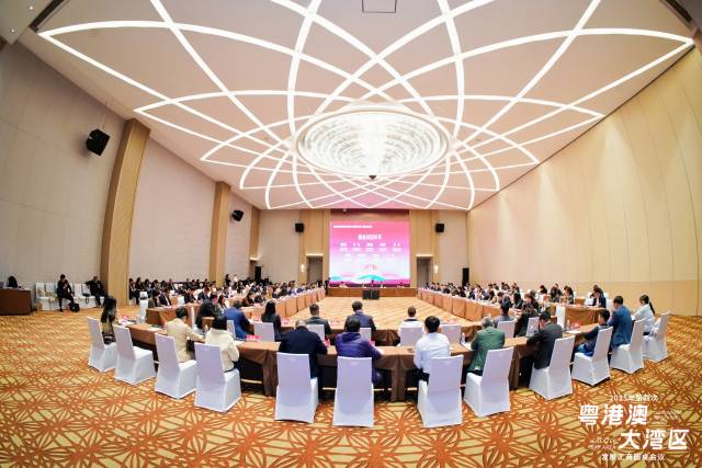 2025年第四次粵港澳大灣區發展工商圓桌會議在佛山舉行 受訪者 供圖